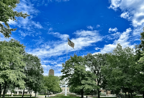 A flagpole surrounded by trees in Ann Arbor, MI.