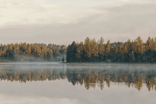 A picture of an outdoor lake near Ann Arbor