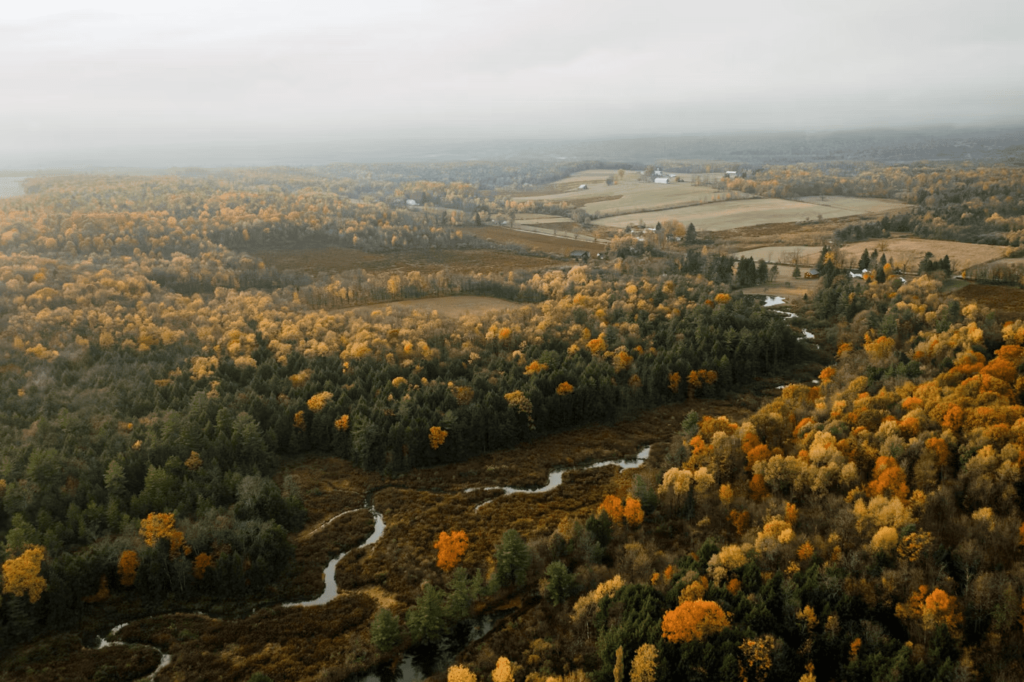 Aerial view of hills and forests near Allentown, PA