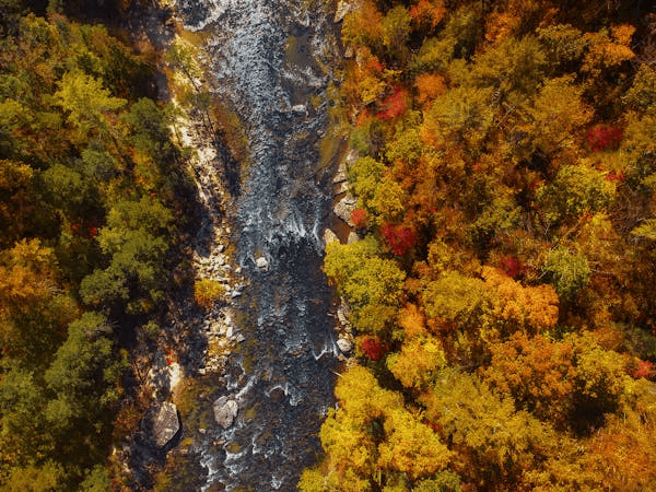 an aerial view of a river near Winstom-Salem, NC